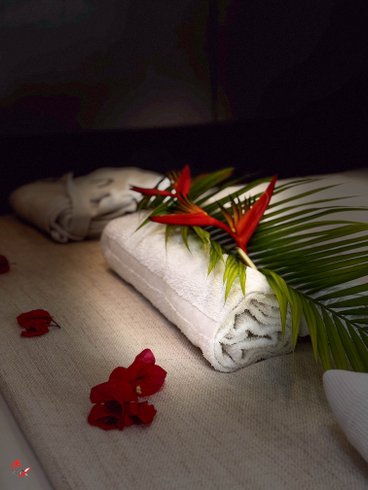 Hébergement AbracadaRoom : Maison bateau écologique Trois-Ilets Martinique - Image 12