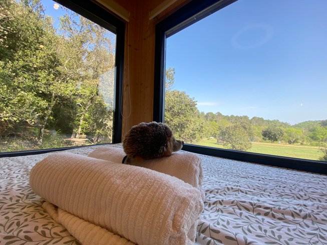 Domaine AbracadaRoom : Homnest (Correns) - Image 23