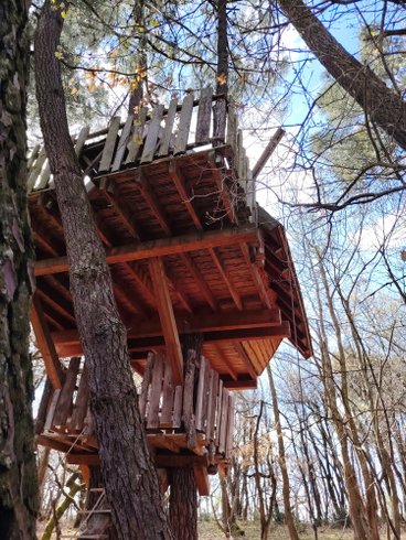Hébergement AbracadaRoom : Cabane Nid d’Oiseaux - Un cocon perché qui danse avec le vent - Image 8
