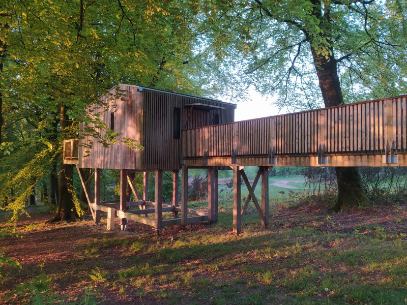 Hébergement AbracadaRoom : Cabane Spa dans les arbres (4m) - Image 2