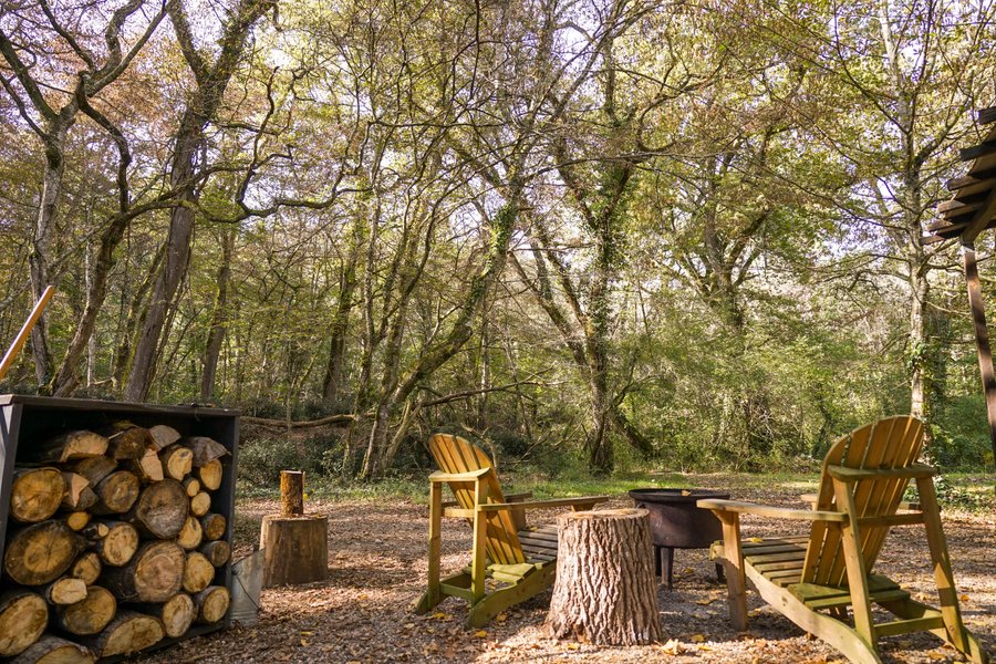 Hébergement AbracadaRoom : Tiny House Lumen & son bain bordelais - Image 16