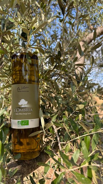 Domaine AbracadaRoom : L'Ombria - Image 26