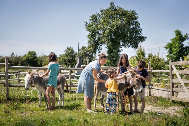 Domaine AbracadaRoom : La Préhouillère - Image 13