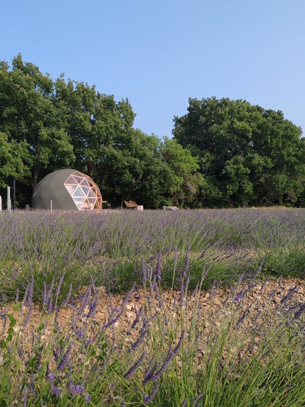 La Bulle du Lavandin à Aix-En-Provence (4)