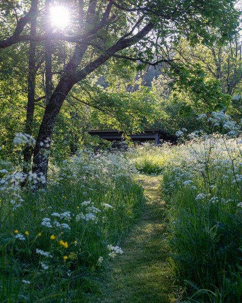 Domaine AbracadaRoom : Les Bulles d'herbe - Image 16