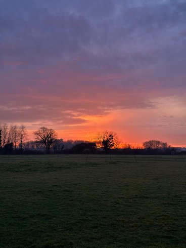 Domaine AbracadaRoom : Les roulottes des amis de Wonky - Image 15