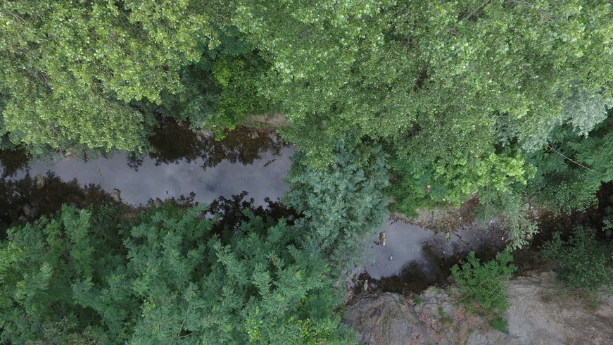 Domaine AbracadaRoom : Le Mas Cabanids - Image 6