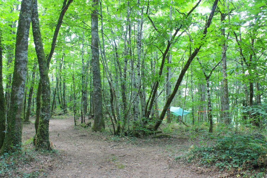 Hébergement AbracadaRoom : Tente suspendue Petit Renard - Image 9