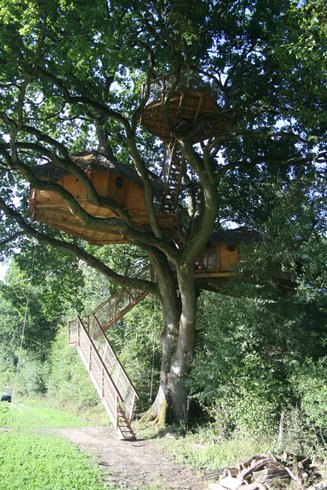 Hébergement AbracadaRoom : Chêne fou - Image 4
