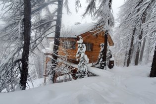 Cabane Hulotte & bain nordique