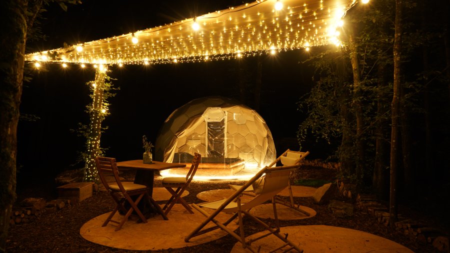 Hébergement AbracadaRoom : Bulle  au coeur des bois- Royaume des Textures - Image 1