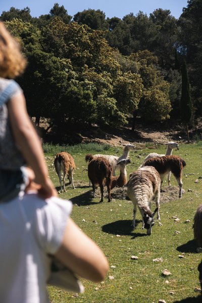 Domaine AbracadaRoom : Parcel Tiny House - au pied du Mont Ventoux - Image 5