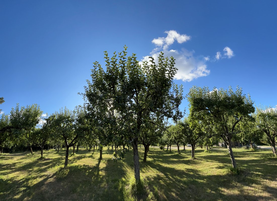 Glamping : nos dômes & son lac privé à Sadirac (26)