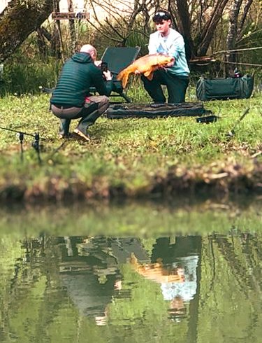 Hébergement AbracadaRoom : La Cabane du Héron, lodge sur pilotis, étang, nature, biodiversité - Image 32