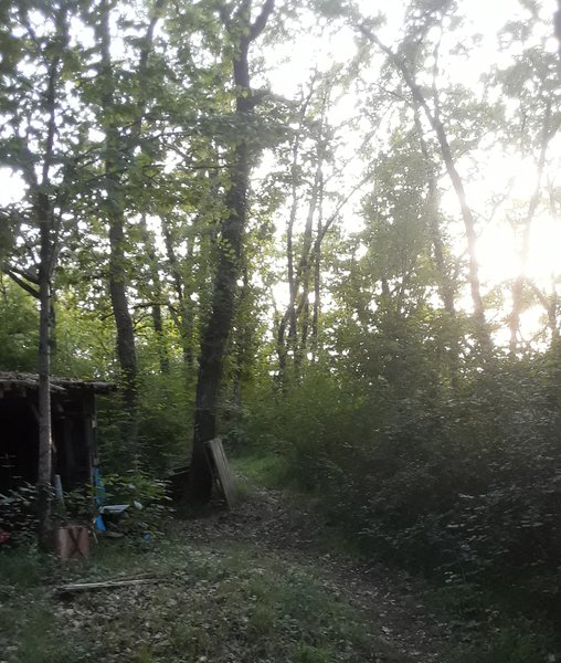 Domaine AbracadaRoom : Le Bois de Mondon - Image 4