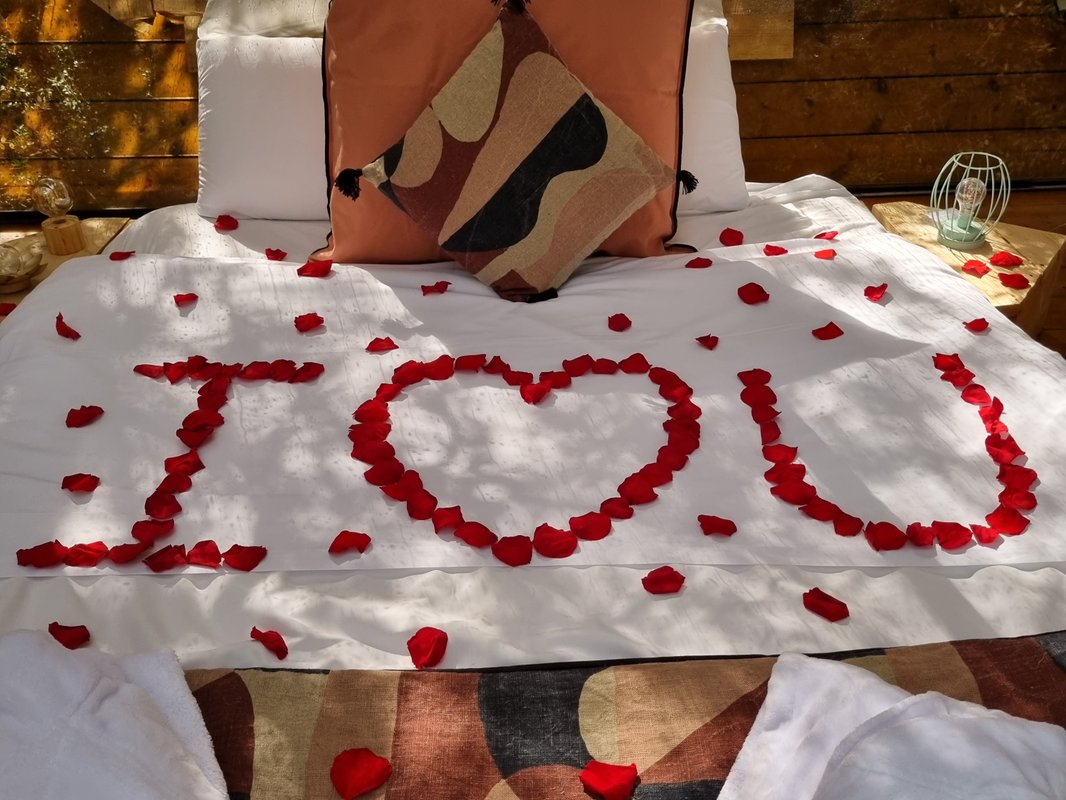 La Pyramide de verre à Maureillas-Las-Illas (3)