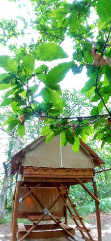 Hébergement AbracadaRoom : Tente Moonrise - Image 6