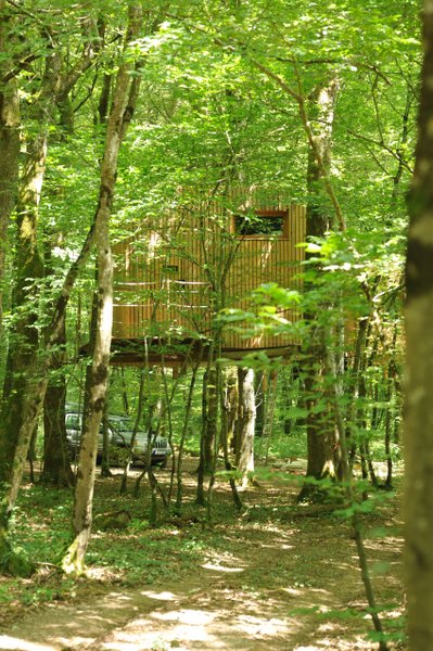 nature-paysage-cabane fouletot-séjour insolite-cabane dans les arbres-familial-franche-comté-abracadaroom