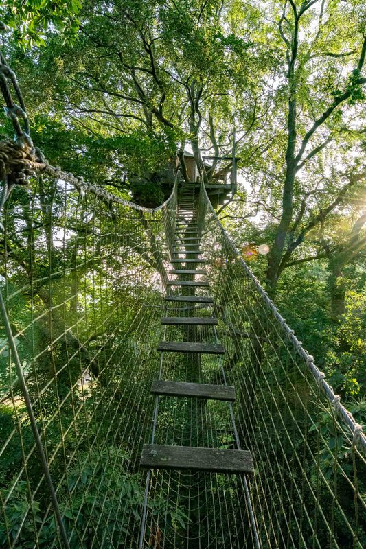 Cabane Grand Duc à Saint Pierre Azif (2)
