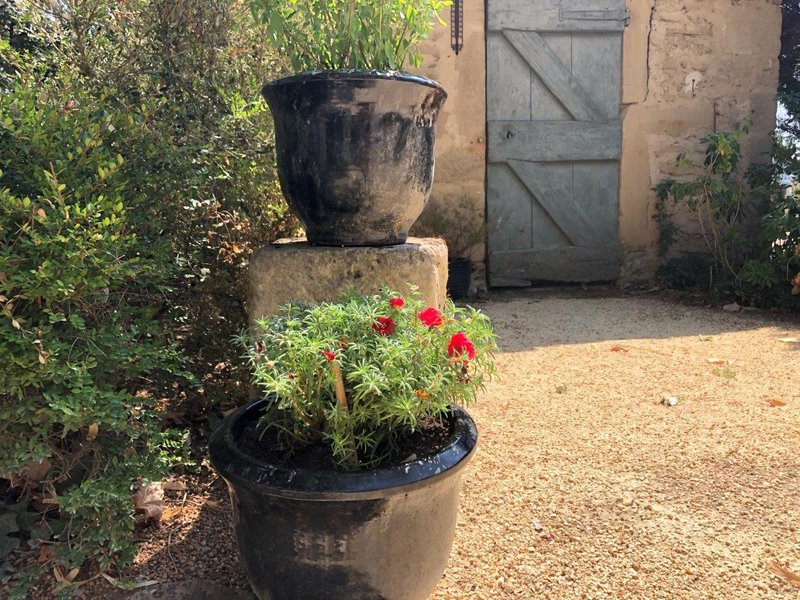 Domaine AbracadaRoom : Mas des Poutres - Image 6