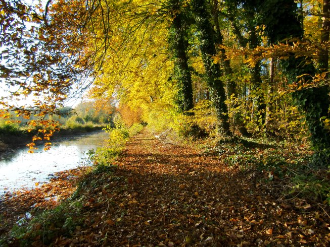 Domaine AbracadaRoom : Parc et chateau de Gizeux - Image 10