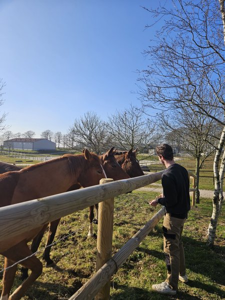 Hébergement AbracadaRoom : Tiny House Le Haras - Image 14