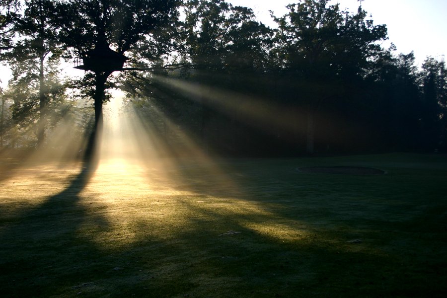Hébergement AbracadaRoom : Cabane Demi-lune - Image 11