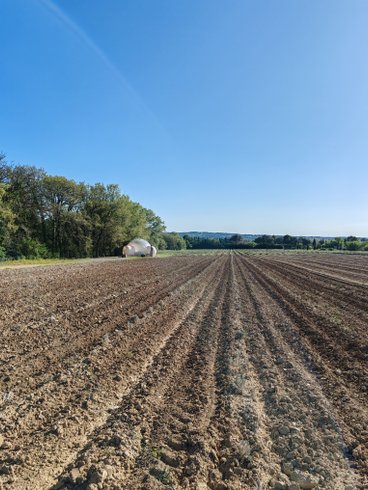 Hébergement AbracadaRoom : La Bulle du Lavandin - Image 15