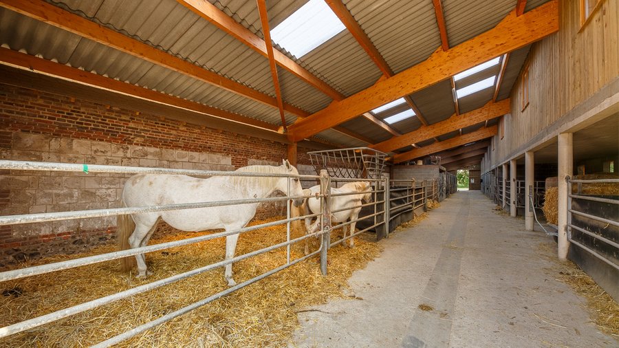 Hébergement AbracadaRoom : Cabane sur l'eau avec bain nordique - Image 21