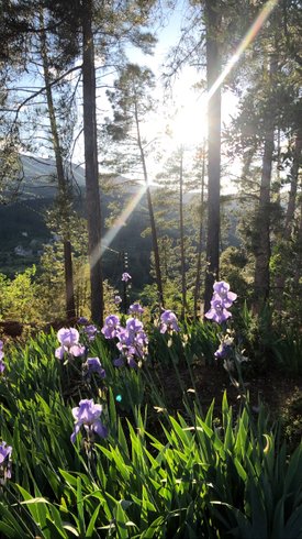 Domaine AbracadaRoom : Domaine Cabanes & Spa Ardèche - Image 12