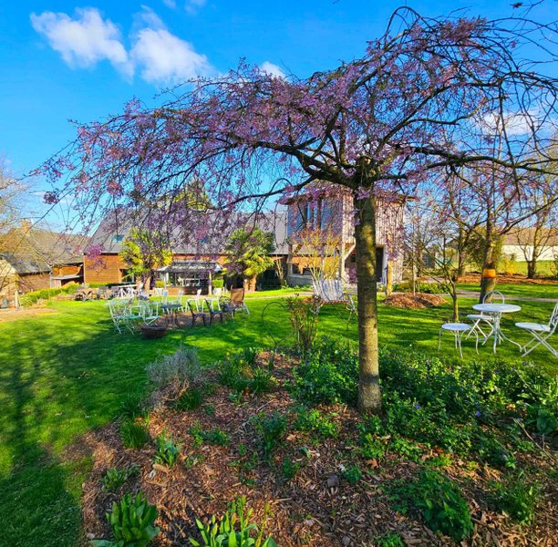 Hébergement AbracadaRoom : La Grande Ourse - Image 10