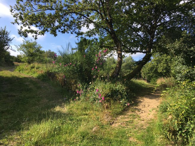 Domaine AbracadaRoom : Les Jardins d'Yzorche - Image 1