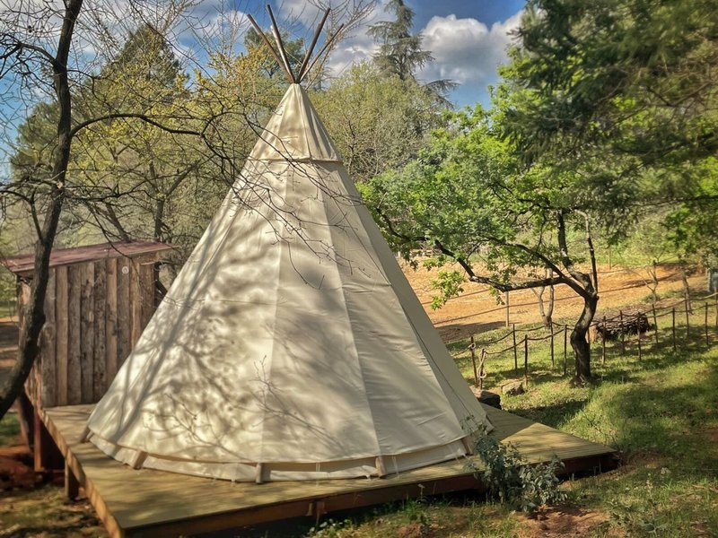 Domaine AbracadaRoom : La Tribu des Ocres - Image 1