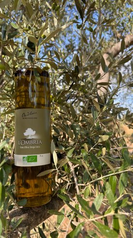 Domaine AbracadaRoom : L'Ombria - Image 26