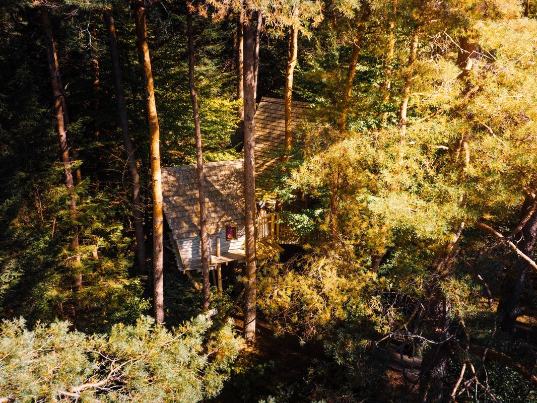 Cabane perchée Cosy Duo à Champdray (8)