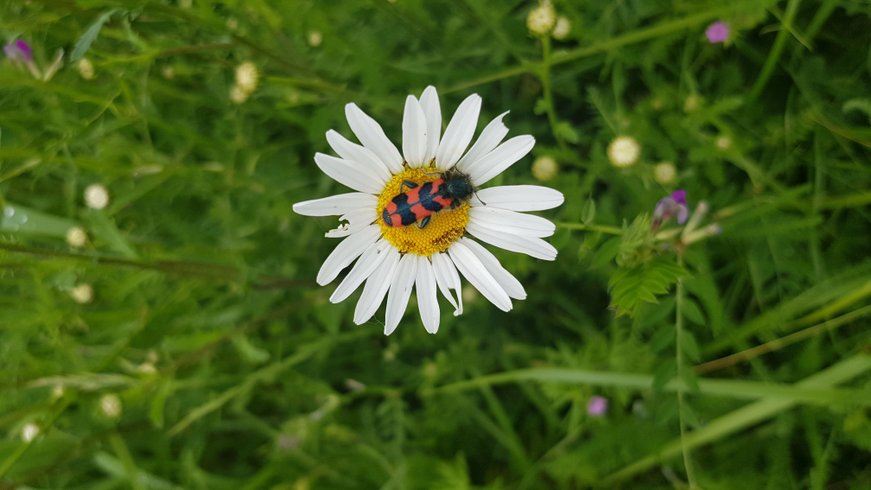 Domaine AbracadaRoom : Le Domaine des Anges - Image 7