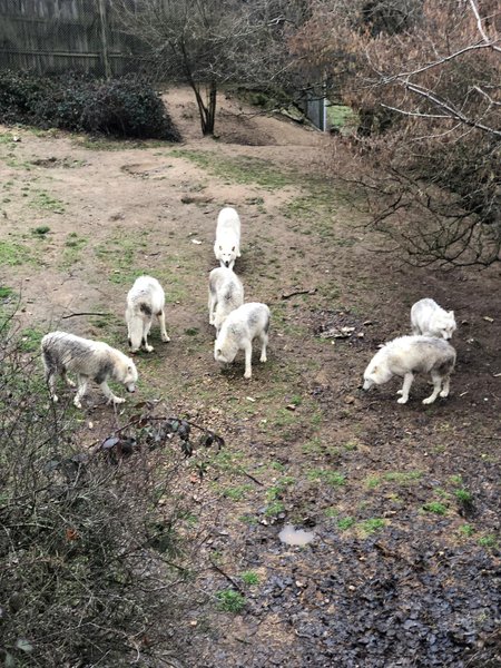 Hébergement AbracadaRoom : Ardeche river glamping - Image 9