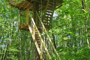 Cabane dans les arbres Vienne