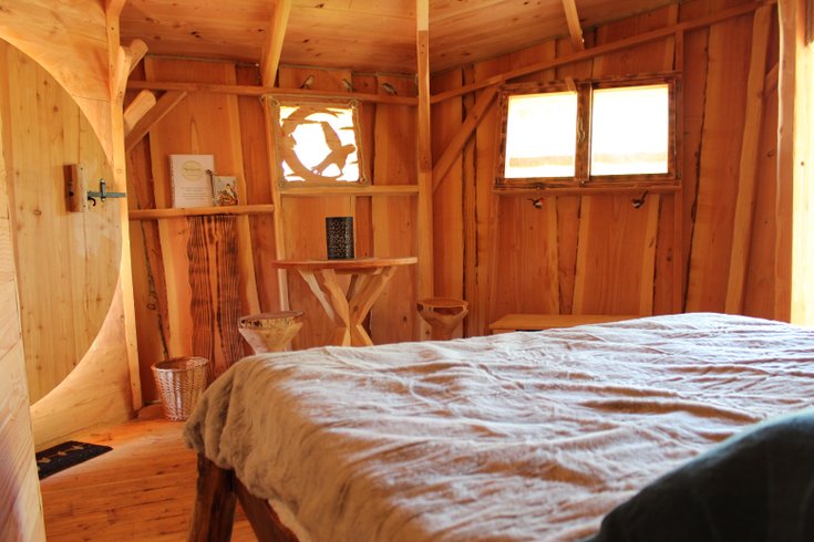 Hébergement AbracadaRoom : La Cabane aux Oiseaux - Image 9