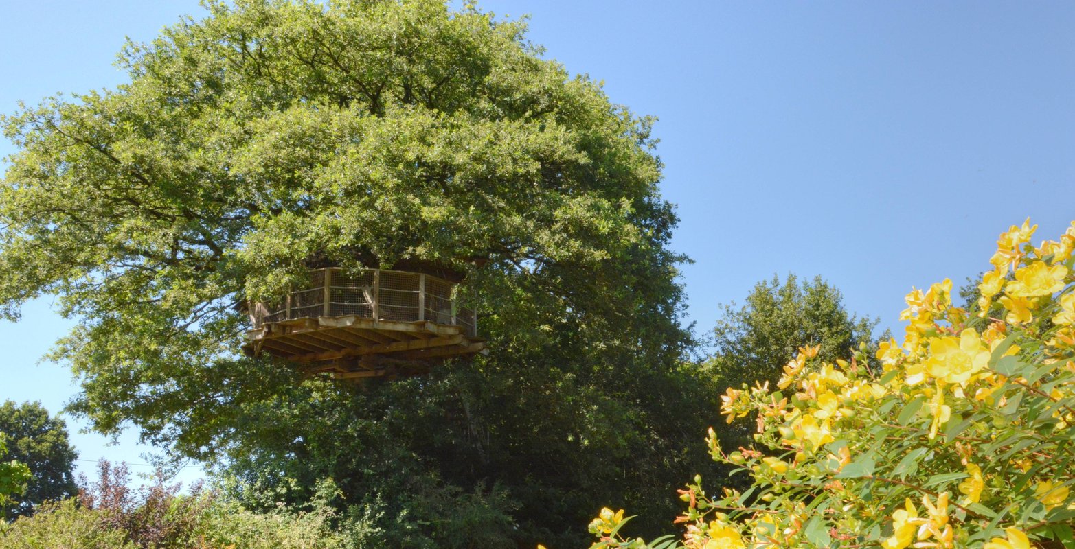 Cabane Girsberg à La Baconnière (1)
