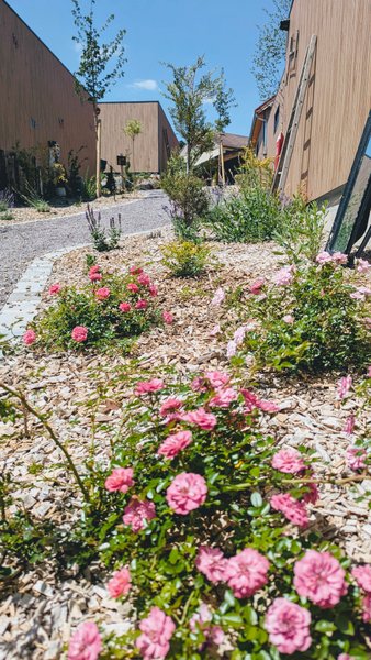 Domaine AbracadaRoom : DOMAINE DES 7 CEPAGES - Image 19