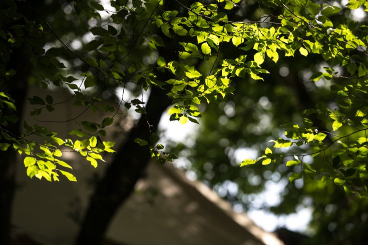 Hébergement AbracadaRoom : Lodge Samana - Image 36