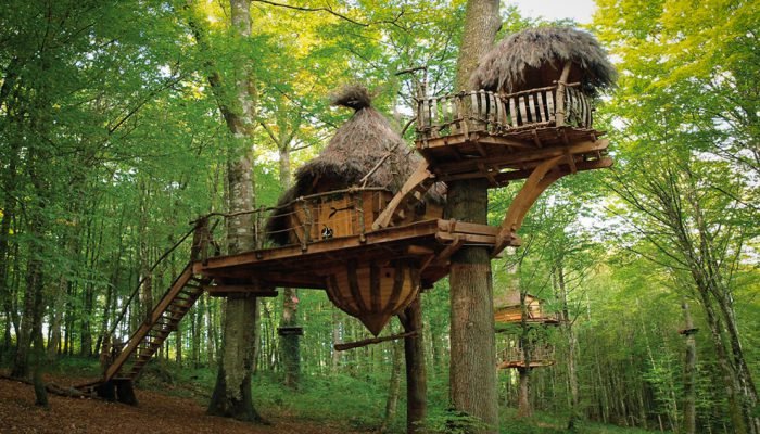 Domaine AbracadaRoom : L'Arbre à Cabane - Image 8