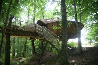 Cabane dans les arbres Ille-et-Vilaine