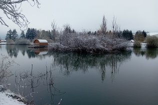 Le Tonneau Millésime