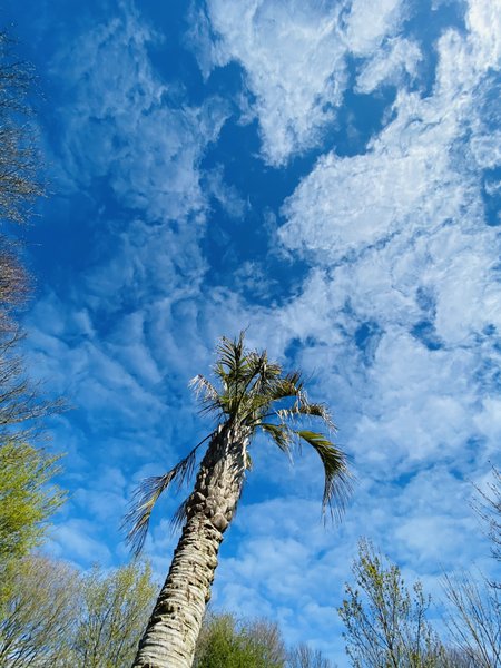Domaine AbracadaRoom : Jardin Zen du Quistillic - Image 16