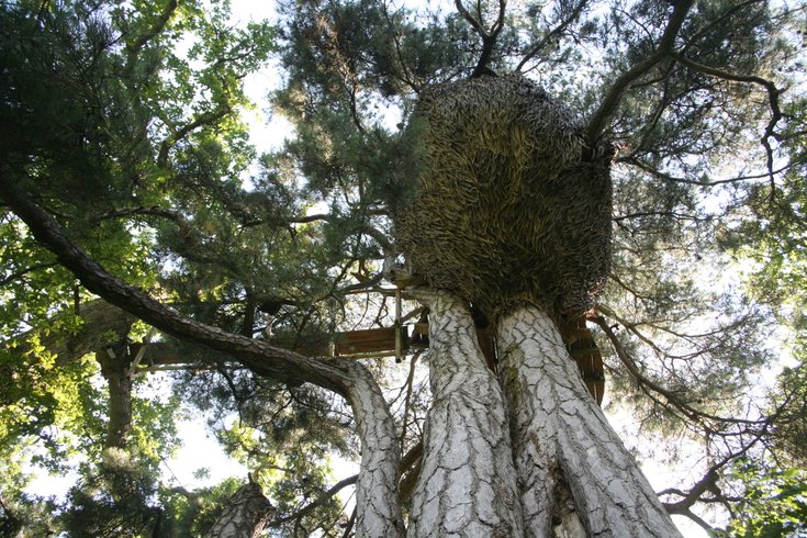 Hébergement AbracadaRoom : Cabane Cocon - Image 4