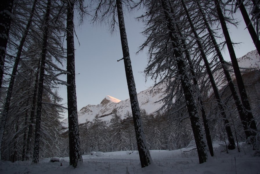 Domaine AbracadaRoom : Yourte de Montagne de Ratery - Image 4