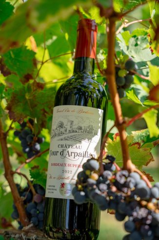 Hébergement AbracadaRoom : Foudre Viticole d’Arpaillan & Spa privatif - Image 12