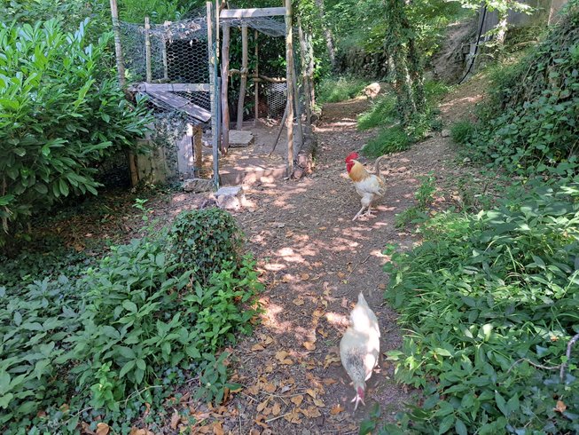 Hébergement AbracadaRoom : Le Refuge d'Yzeron - Image 51